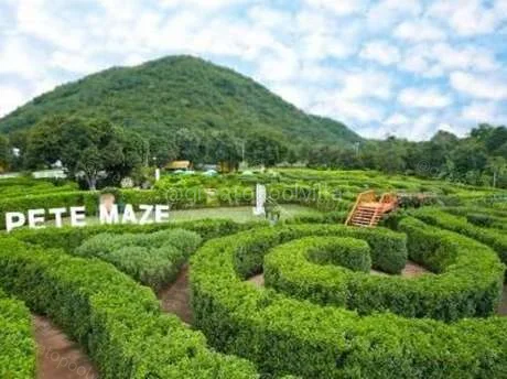 พิชร์เขาวงกต เขาใหญ่ พิชร์เขาวงกต เขาใหญ่